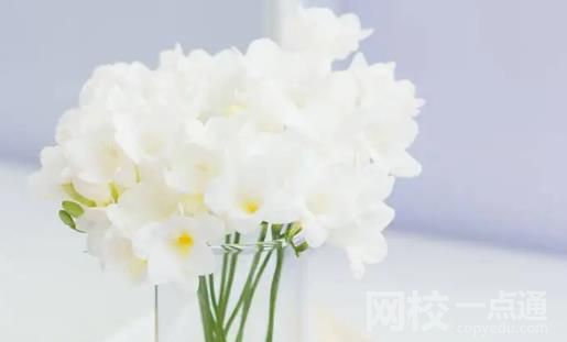 北京語言大學2024錄取分數線(2024學年各專業錄取最低分數線)
