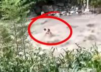 上百人沿河搜尋四川山洪受困者 龍漕溝曾是網紅打卡地