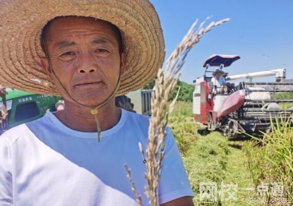 鄱陽湖河床變草原 當地人開車飛馳 為什么水位持續下降？