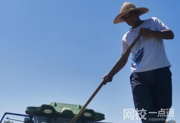 鄱陽湖河床變草原 當地人開車飛馳 出來的草大概有二三十厘高