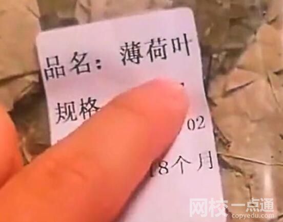 男子網購薄荷葉收到“薄”荷葉 究竟是怎么回事？