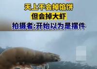 臺風將大蝦刮飛停在車窗上 原因竟是這樣簡直令人震驚
