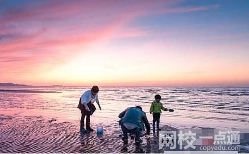 煙臺(tái)海腸爆發(fā) 有人一晚?yè)粕锨Ы?周圍甚至還堵起了車