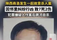 王某良殺人案事件 11.7商洛發生7死兇殺案王某良殺人案最新消息