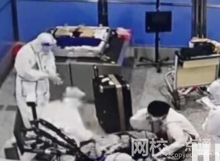托運行李內藏199只活龜7條活蛇 具體是什么情況?