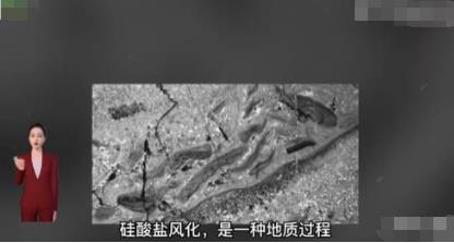 新研究發現地球可自我調節溫度 具體是什么情況?