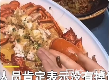 食客點龍蝦做記號上菜后發現被換 事情真相究竟是什么