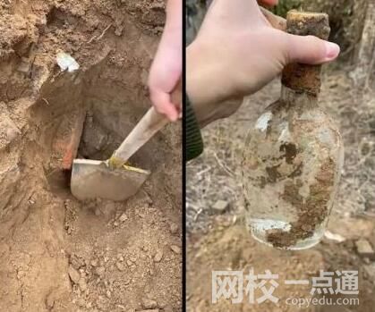 男子4年級時埋白酒打算娶媳婦喝內幕曝光