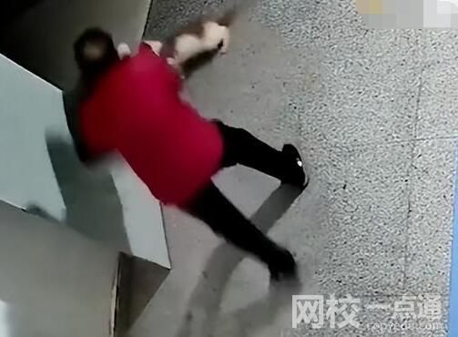 殘疾流浪貓?jiān)饫先藧阂馓叽蝌?qū)趕 為什么引爭(zhēng)議？