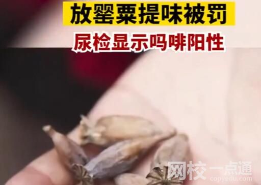 女子宿舍吃火鍋放罌粟提味被罰 背后真相實(shí)在讓人驚愕