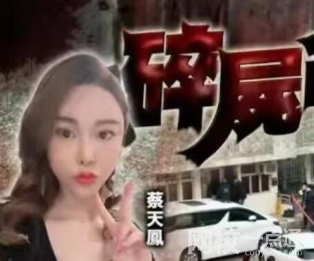 香港名媛碎尸案進(jìn)展:前夫潛逃時(shí)被抓 這也太恐怖了