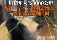 川籍華人飛3000公里看丫丫哭了 內(nèi)幕曝光簡直太意外了
