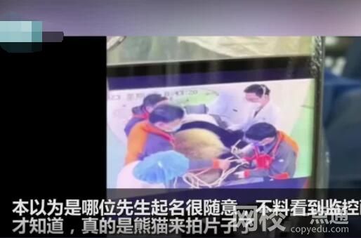 醫院有位患者叫熊貓是真熊貓 背后真相實在讓人驚愕
