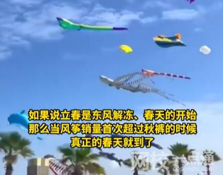 海洋風(fēng)箏爆火 網(wǎng)友:春天的信號(hào) 究竟是怎么回事？