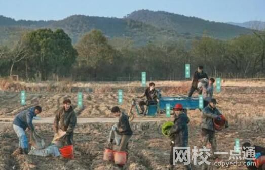 這群年輕人 在綜藝節目中“種地”