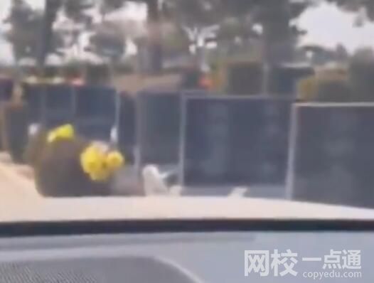汽車雷達在無人陵園內顯示全是人影 內幕實在太可怕了