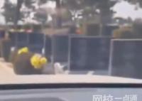 汽車雷達在無人陵園內顯示全是人影 內幕實在太可怕了