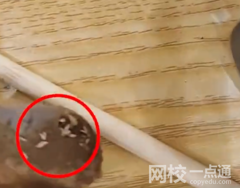 女子稱吃黃燜排骨發現滿嘴是蛆視頻曝光