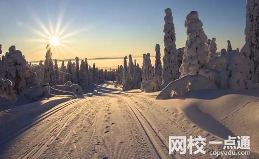 山東英才學院2024錄取分數線(專業最低分數線及位次排名)