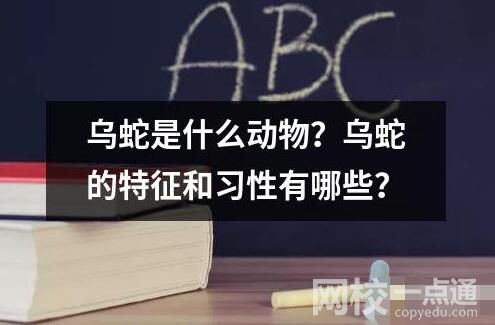 烏蛇是什么動物？烏蛇的特征和習性有哪些？
