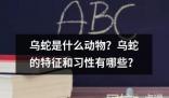 烏蛇是什么動物？烏蛇的特征和習性有哪些？