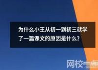 為什么小王從初一到初三就學了一篇課文的原因是什么？