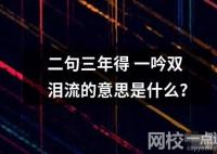 二句三年得 一吟雙淚流的意思是什么？