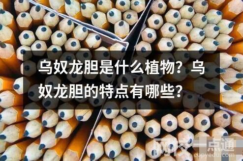 烏奴龍膽是什么植物？烏奴龍膽的特點有哪些？