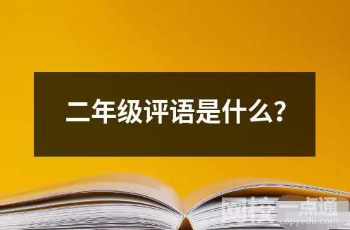 二年級評語是什么？
