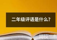 二年級評語是什么？