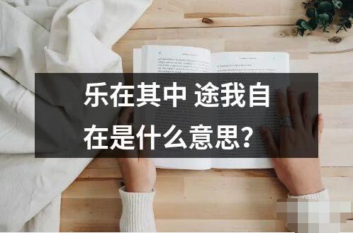 樂在其中 途我自在是什么意思？