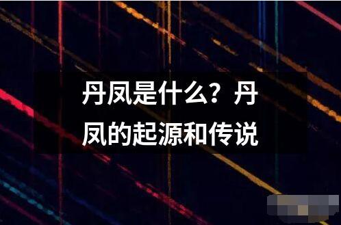 丹鳳是什么？丹鳳的起源和傳說