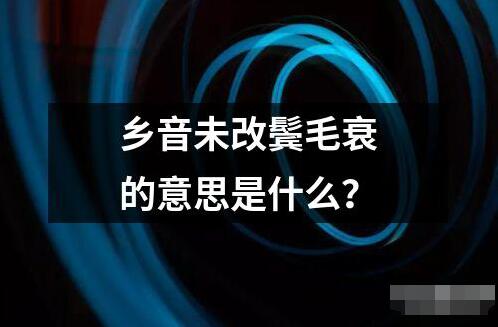 鄉(xiāng)音未改鬢毛衰的意思是什么？
