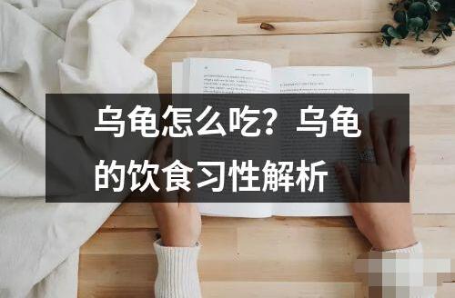 烏龜怎么吃？烏龜?shù)娘嬍沉?xí)性解析