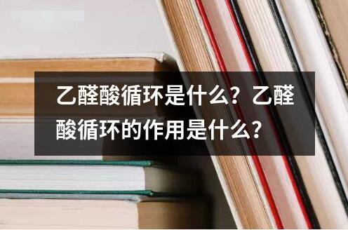 乙醛酸循環(huán)是什么？乙醛酸循環(huán)的作用是什么？