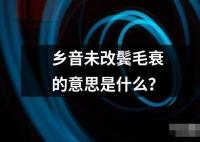 鄉音未改鬢毛衰的意思是什么？