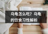 烏龜怎么吃？烏龜的飲食習性解析