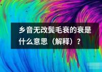 鄉音無改鬢毛衰的衰是什么意思（解釋）？