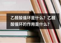 乙醛酸循環是什么？乙醛酸循環的作用是什么？