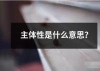 主體性是什么意思？