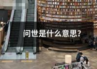 問世是什么意思？