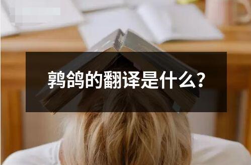 鶉?guó)澋姆g是什么？