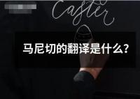 馬尼切的翻譯是什么？