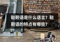 韃靼語是什么語言？韃靼語的特點有哪些？