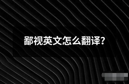 鄙視英文怎么翻譯？