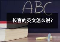 長官的英文怎么說？
