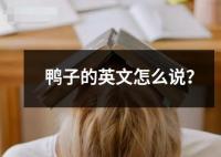 鴨子的英文怎么說？