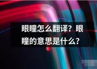 眼瞳怎么翻譯？眼瞳的意思是什么？