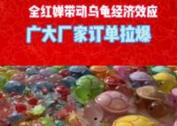 全紅嬋玩的烏龜爆單了 為什么這么火？