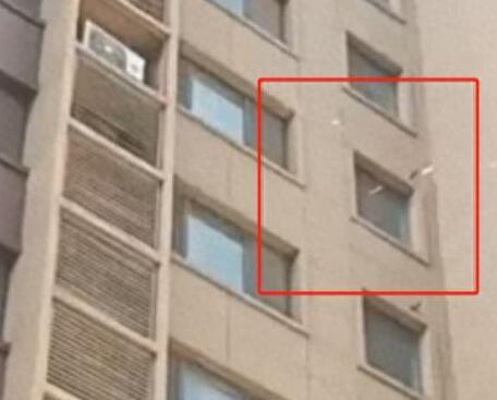 女子高樓撒10萬現(xiàn)金后跳樓?警方回應(yīng) 為什么撒錢跳樓？